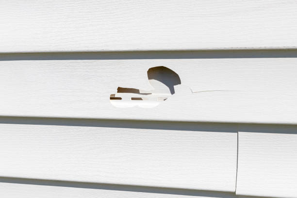 Professional Siding Installation & Repair in Merritt Island, FL